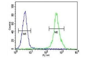 ZEB2 antibody flow cytometric analysis of MDA-MB435 cells (right histogram) compared to a negative control (left histogram). (ZEB2 抗体  (AA 1078-1105))