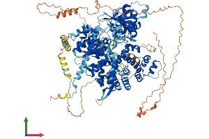 Protein Structure (PS) image for DNA Helicase HEL308 (HEL308) (AA 1-1101) protein (His tag) (ABIN7554083)