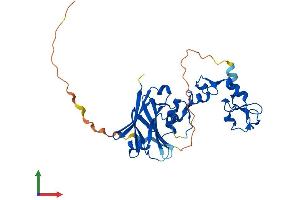Protein Structure (PS) image for Siah E3 Ubiquitin Protein Ligase 2 (SIAH2) (AA 1-325) protein (His tag) (ABIN7563606)