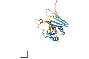 Protein Structure (PS) image for Ornithine Decarboxylase Antizyme 3 (OAZ3) (AA 1-243) protein (His tag) (ABIN7556207)