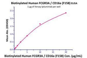 Binding Studies (Bind) image for Fc Fragment of IgG, Low Affinity IIIa, Receptor (CD16a) (FCGR3A) (AA 17-208) (Active) protein (His tag,AVI tag,Biotin) (ABIN2870544)