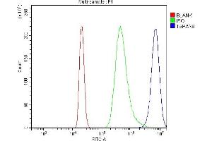 Flow Cytometry analysis of RAW264. (Tspan-8 抗体  (AA 108-203))