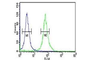 PKM2 antibody flow cytometric analysis of 293 cells (right histogram) compared to a negative control (left histogram). (PKM2 抗体  (AA 116-145))