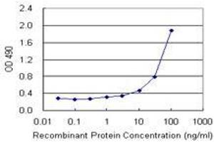 Sandwich ELISA detection sensitivity ranging from 1 ng/mL to 100 ng/mL. (TP53RK (人) Matched Antibody Pair)