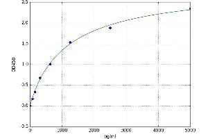 CD80 (CD80) ELISA Kit