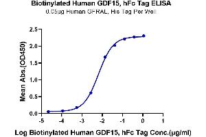 Immobilized Human GFRAL, His Tag at 0. (GDF15 Protein (AA 197-308) (Fc Tag,Biotin))