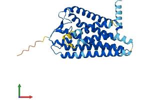 AlphaFold protein structure predicition of Mouse Recombinant Olfr143 Protein, UniprotID P34985 (OLFR143 Protein (AA 1-313) (His tag))