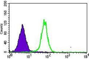 Flow cytometric analysis of HepG2 cells using MRPL42 mouse mAb (green) and negative control (purple). (MRPL42 抗体  (AA 142-203))