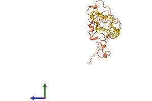 Protein Structure (PS) image for Keratin Associated Protein 5-11 (KRTAP5-11) (AA 1-237) protein (His tag) (ABIN7548767)