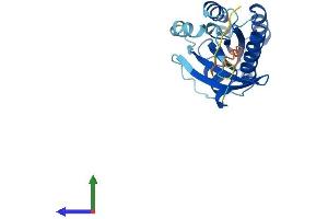 Protein Structure (PS) image for RAB2B, Member RAS Oncogene Family (RAB2B) (AA 1-216) protein (His tag) (ABIN7551205)