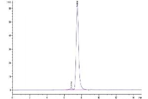 Size-exclusion chromatography-High Pressure Liquid Chromatography (SEC-HPLC) image for CD163 (CD163) (AA 42-1045) protein (His-Avi Tag,Biotin) (ABIN7274085)