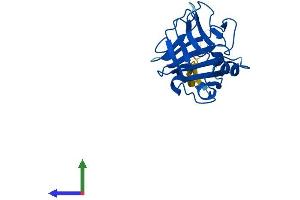 AlphaFold protein structure predicition of Mouse Recombinant Tldc2 Protein, UniprotID A2ACG1