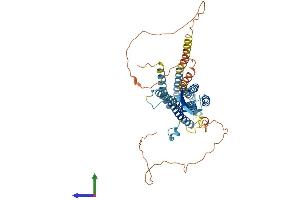Protein Structure (PS) image for Solute Carrier Family 30, Member 10 (SLC30A10) (AA 1-485) protein (His tag) (ABIN7545417)