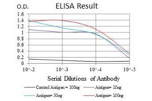 Black line: Control Antigen (100 ng), Purple line: Antigen(10 ng), Blue line: Antigen (50 ng), Red line: Antigen (100 ng), (RPS6KA3 抗体)