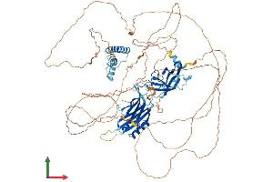Protein Structure (PS) image for Synaptotagmin Like Protein 2 (SYTL2) (AA 1-934) protein (His tag) (ABIN7555693)
