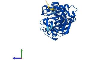 Protein Structure (PS) image for D-Amino-Acid Oxidase (DAO) (AA 1-345) protein (His tag) (ABIN7562932)