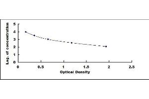 Typical standard curve (Kallikrein 10 ELISA 试剂盒)