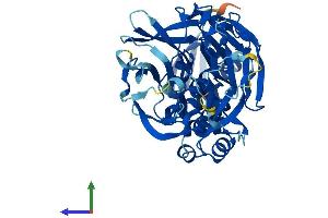 AlphaFold protein structure predicition of Mouse Recombinant Kbtbd13 Protein, UniprotID Q8C828 (KBTBD13 Protein (AA 1-458) (His tag))