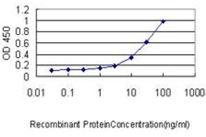 Detection limit for recombinant GST tagged EBF1 is approximately 0. (EBF1 抗体  (AA 1-591))