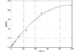 Glutathione S-Transferase theta 2 (GSTT2) ELISA Kit