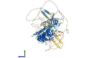Protein Structure (PS) image for rho Guanine Nucleotide Exchange Factor (GEF) 10-Like (ARHGEF10L) (AA 1-1279) protein (His tag) (ABIN7552318)
