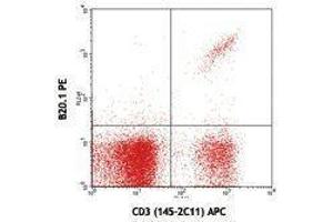 Flow Cytometry (FACS) image for anti-V alpha 2 TCR antibody (PE) (ABIN2663905) (V alpha 2 TCR 抗体 (PE))