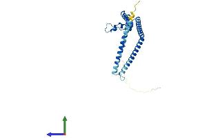 Protein Structure (PS) image for Growth Arrest and DNA-Damage-Inducible, gamma Interacting Protein 1 (GADD45GIP1) (AA 1-222) protein (His tag) (ABIN7560613)