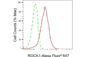 Flow cytometric analysis of ROCK1 expression in HepG2 cells using ROCK1 antibody (ABIN7800202), 1:2,000). (Recombinant ROCK1 抗体)