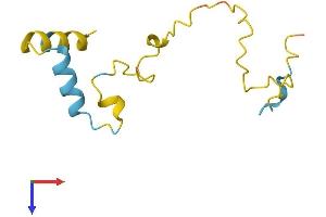 AlphaFold protein structure predicition of Human Recombinant SPATA45 Protein, UniprotID Q537H7