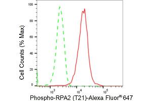 Flow cytometric analysis of Phospho-RPA2 (T21) expression in HepG2 cells using Phospho-RPA2 (T21) antibody (ABIN7800175), 1:2,000). (Recombinant RPA2 抗体  (pThr21))