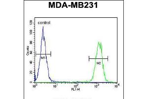 Flow cytometric analysis of MDA-MB231 cells (right histogram) compared to a negative control cell (left histogram).