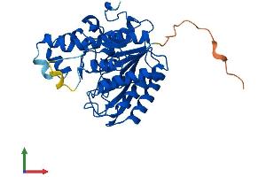 Protein Structure (PS) image for Histone Deacetylase 11 (HDAC11) (AA 1-347) protein (His tag) (ABIN7560023)