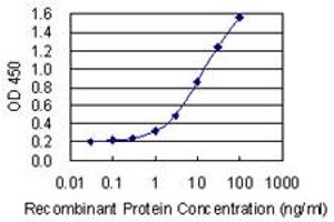 Detection limit for recombinant GST tagged UBXN11 is 0. (UBXN11 抗体  (AA 311-409))