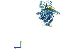 Protein Structure (PS) image for Anoctamin 9 (ANO9) (AA 1-747) protein (His tag) (ABIN7556764)