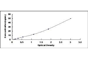 Typical standard curve (TAGLN2 ELISA 试剂盒)