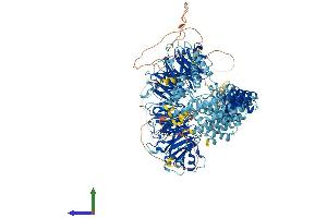 Protein Structure (PS) image for Gem (Nuclear Organelle) Associated Protein 5 (GEMIN5) (AA 1-1502) protein (His tag) (ABIN7564451)