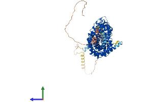 AlphaFold protein structure predicition of Human Recombinant JUP Protein, UniprotID P14923