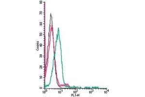 Flow Cytometry (FACS) image for anti-Magnesium Transporter 1 (MAGT1) (AA 28-40), (Extracellular) antibody (ABIN7043318)