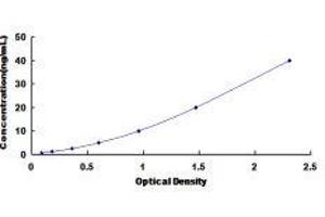 Typical standard curve (PCOLCE ELISA 试剂盒)