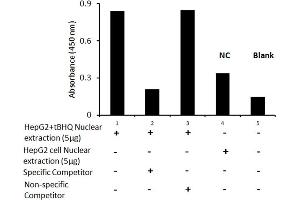 Transcription factor activity assay of NRF2 from nuclear extracts of HepG2 cells or HepG2 cells treated with tBHQ (90uM) for 24 hr with the specific competitor or non-specific competitor. (NRF2 ELISA 试剂盒)