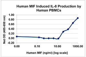 SDS-PAGE of Human MigSDS-PAGE of Ration Inhibitory Factor Recombinant Protein Bioactivity of Human Migration Inhibitory Factor Recombinant Protein. (MIF 蛋白)