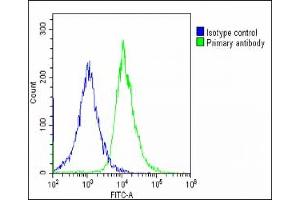 Flow Cytometry (FACS) image for anti-Meckel Syndrome, Type 1 (MKS1) (AA 90-124) antibody (ABIN6244194)