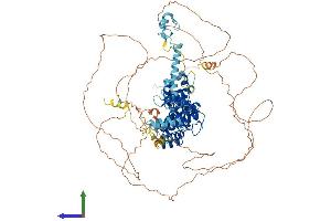 Protein Structure (PS) image for Gen Endonuclease Homolog 1 (GEN1) (AA 1-908) protein (His tag) (ABIN7554000)