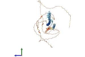 Protein Structure (PS) image for Tripartite Motif Containing 29 (TRIM29) (AA 1-588) protein (His tag) (ABIN7544771)