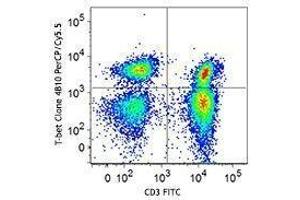 Flow Cytometry (FACS) image for anti-T-Bet antibody (PerCP-Cy5.5) (ABIN2660475) (T-Bet 抗体  (PerCP-Cy5.5))