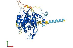 Protein Structure (PS) image for UDP-Gal:betaGlcNAc beta 1,3-Galactosyltransferase, Polypeptide 4 (B3GALT4) (AA 1-378) protein (His tag) (ABIN7552597)