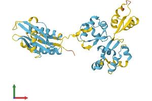 Protein Structure (PS) image for Nitrogen Permease Regulator-Like 2 (S. Cerevisiae) (NPRL2) (AA 1-380) protein (His tag) (ABIN7549869)