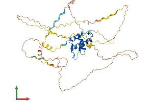 Protein Structure (PS) image for Forkhead Box D1 (FOXD1) (AA 1-456) protein (His tag) (ABIN7557697)