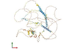 Protein Structure (PS) image for Ring Finger Protein 169 (RNF169) (AA 1-708) protein (His tag) (ABIN7555239)