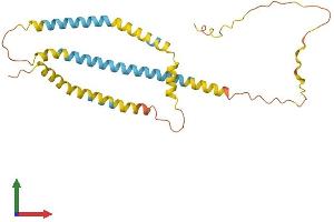 Protein Structure (PS) image for Spermatogenesis Associated 9 (SPATA9) (AA 1-252) protein (His tag) (ABIN7561182)